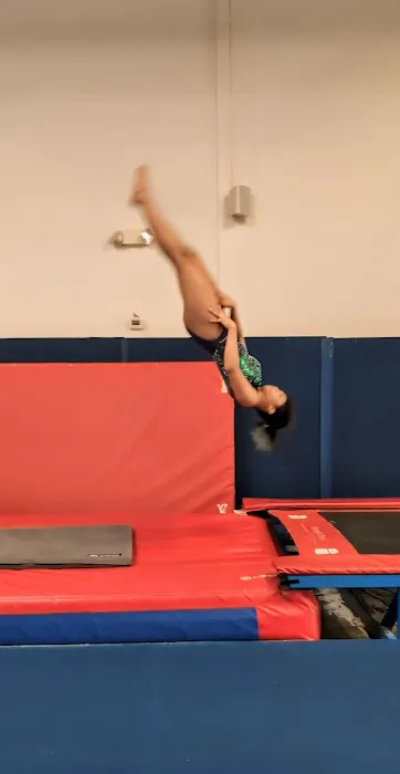 Desert Tumbling Picture 1