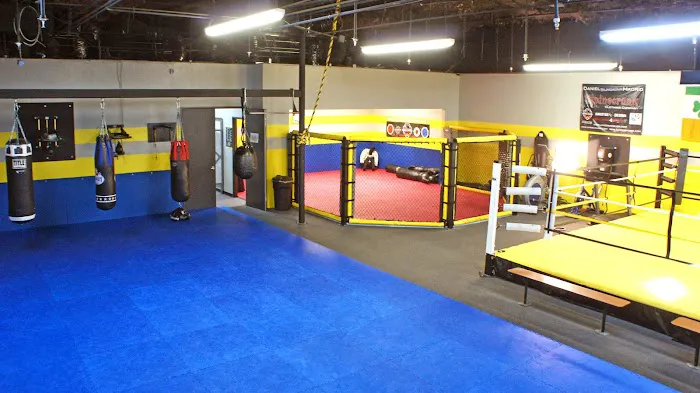 Legion MMA Picture 3