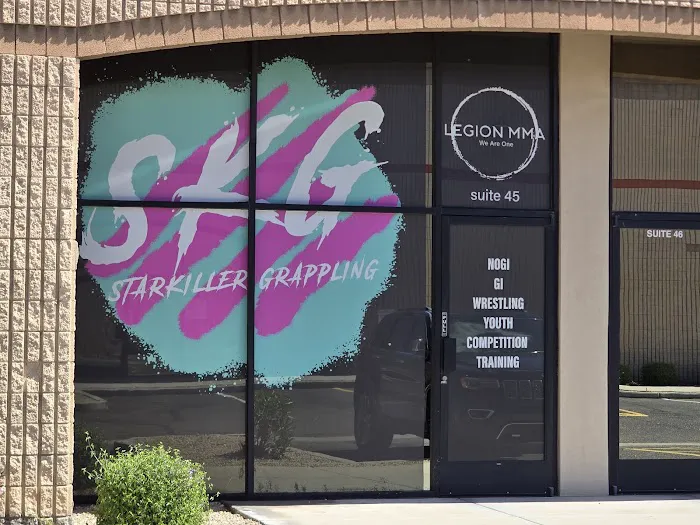 Legion MMA Picture 4