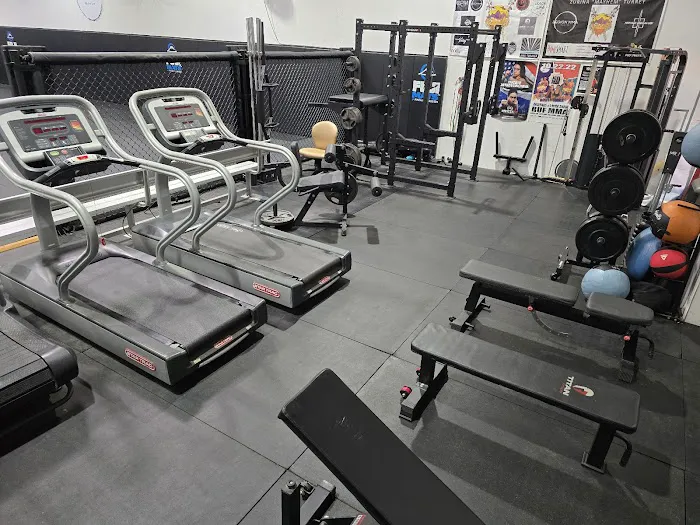 Legion MMA Picture 8