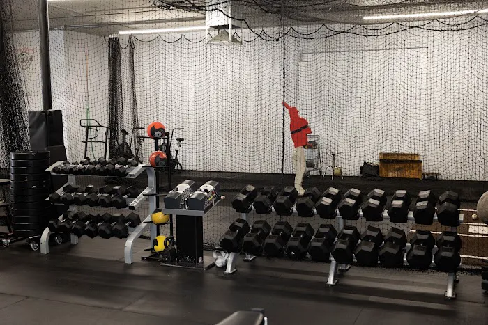 Terra Sports Picture 8