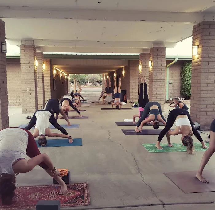 Surya Yoga Picture 5