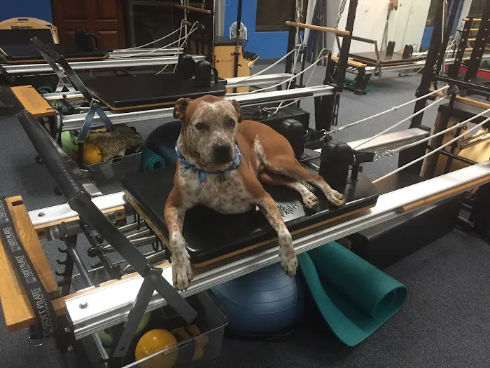 Pilates Institute of Scottsdale offering Gyrotonic Method Picture 1