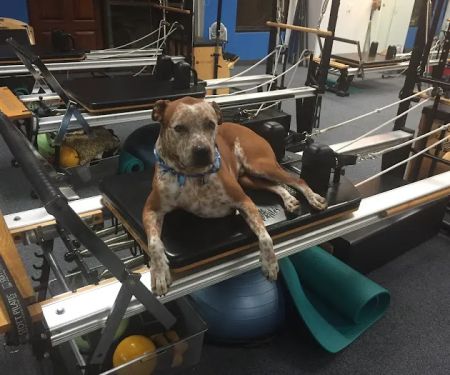 Pilates Institute of Scottsdale offering Gyrotonic Method