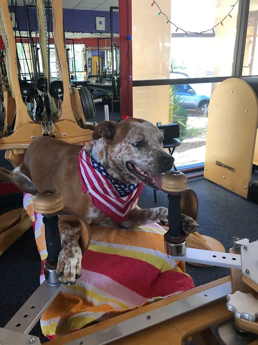 Pilates Institute of Scottsdale offering Gyrotonic Method Picture 2