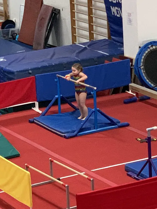 North Valley Gymnastics Picture 2