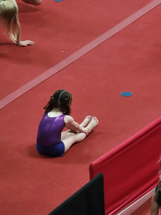 North Valley Gymnastics Picture 5