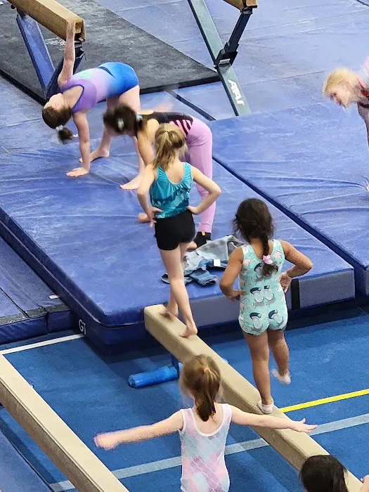 North Valley Gymnastics Picture 9
