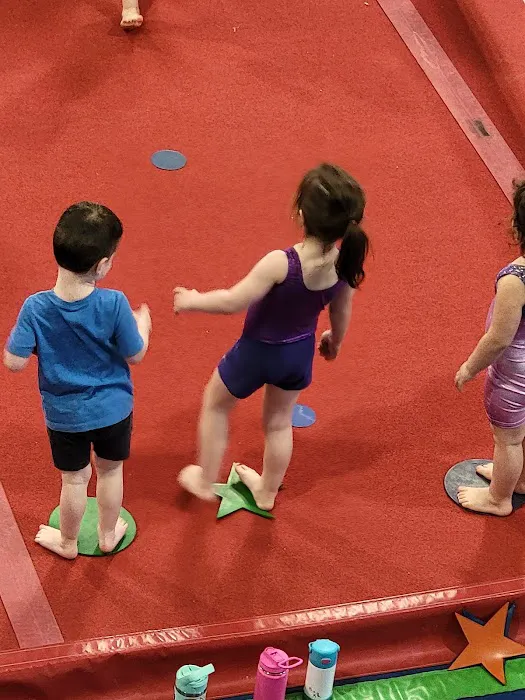 North Valley Gymnastics Picture 6