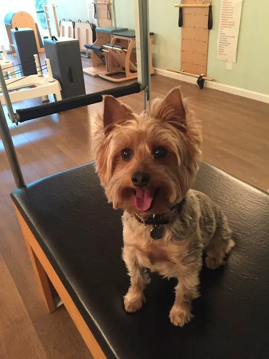 Phoenix Pilates and Rossiter Center Picture 8