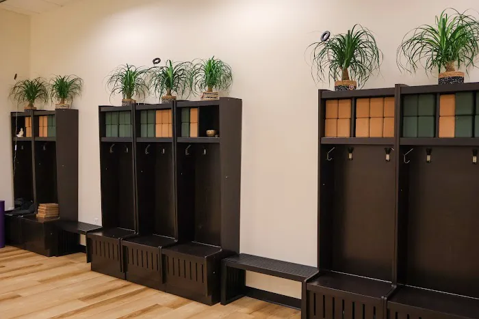 Protea Movement Studio Picture 2