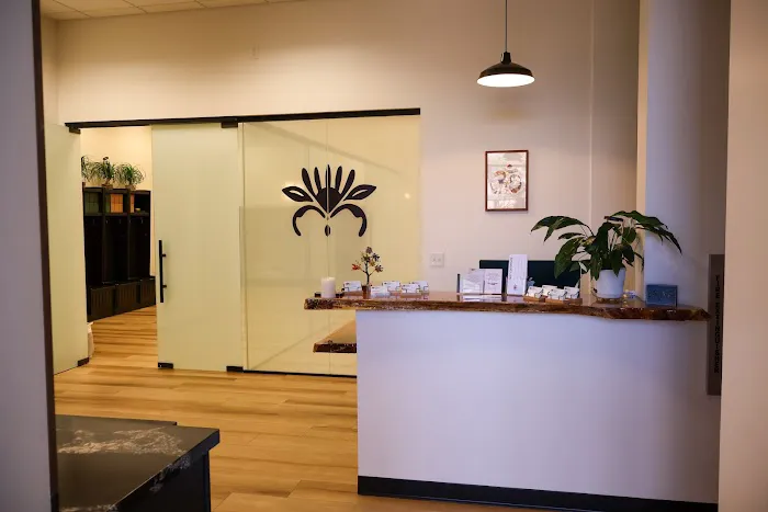 Protea Movement Studio Picture 3