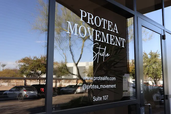 Protea Movement Studio Picture 5