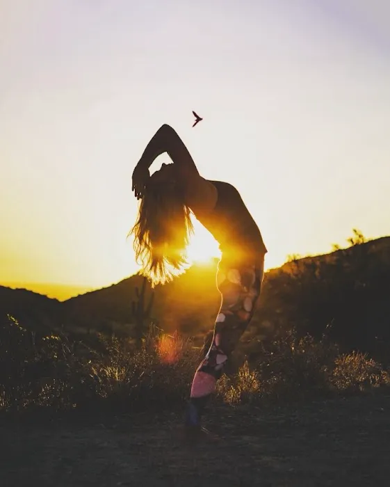 Protea Movement Studio Picture 9