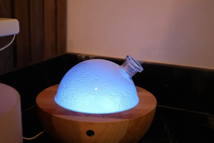 Protea Movement Studio Picture 10