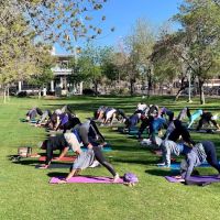 Yoga's Arc (Mobile Yoga Company) ico