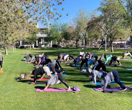 Yoga's Arc (Mobile Yoga Company)