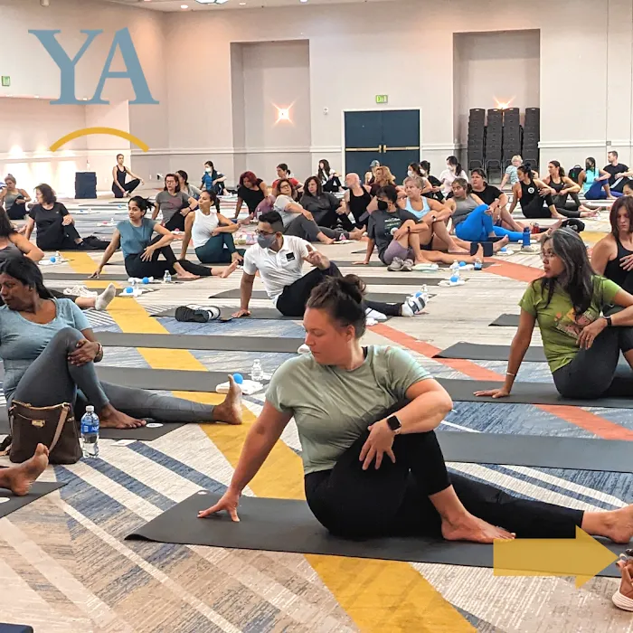 Yoga's Arc (Mobile Yoga Company) Picture 5