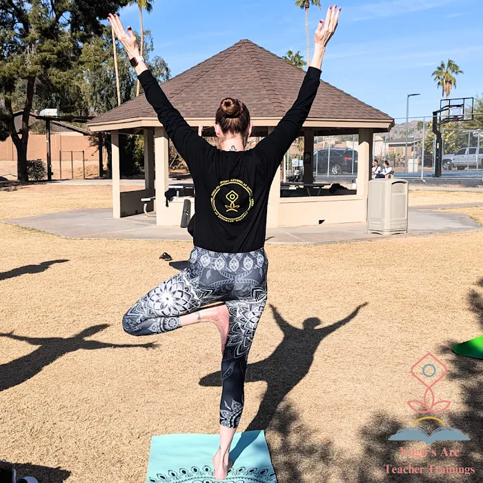 Yoga's Arc (Mobile Yoga Company) Picture 9