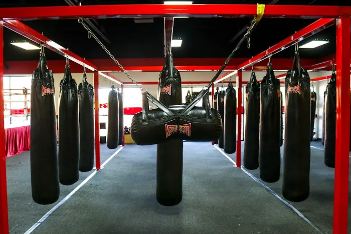 Knockout Fitness- Surprise Picture 3