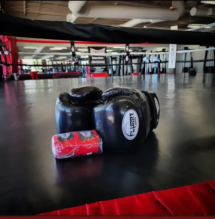 Knockout Fitness- Surprise Picture 4