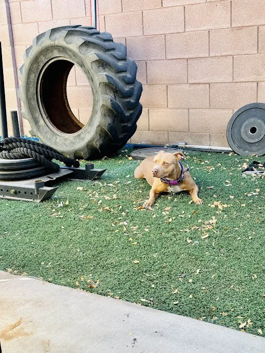 TJTemperTraining Picture 1