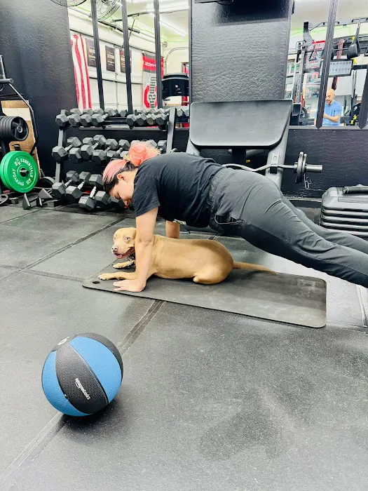 TJTemperTraining Picture 3