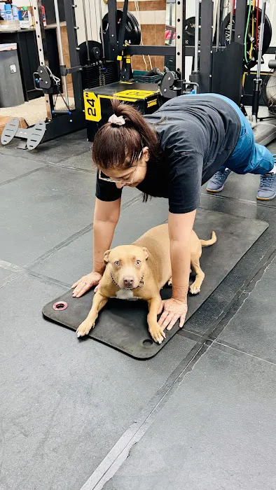 TJTemperTraining Picture 4