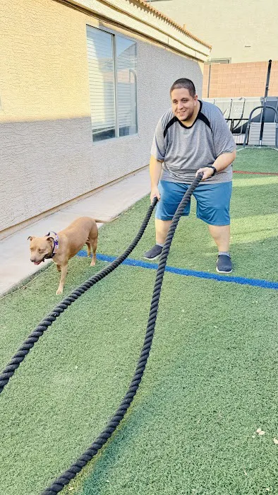 TJTemperTraining Picture 7