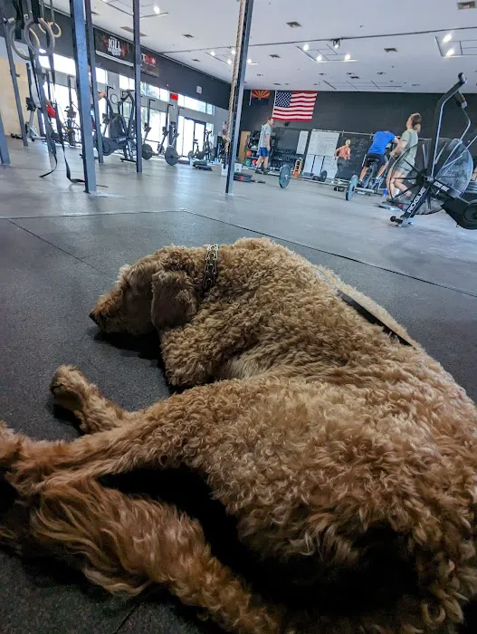 CrossFit Chaparral Picture 9