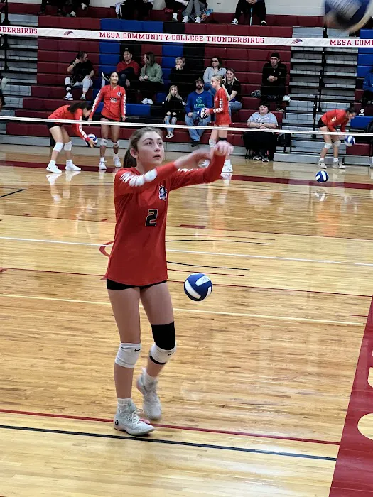 T.J. Heap Gymnasium Picture 1