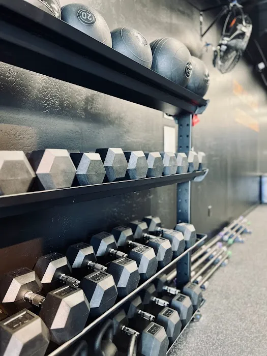 Jabz Boxing - Chandler Picture 3