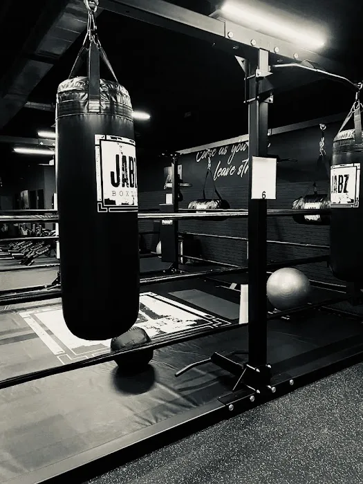 Jabz Boxing - Chandler Picture 4