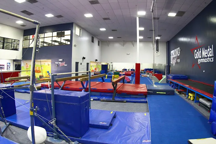 Gold Medal Gymnastics Picture 1