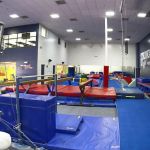Gold Medal Gymnastics