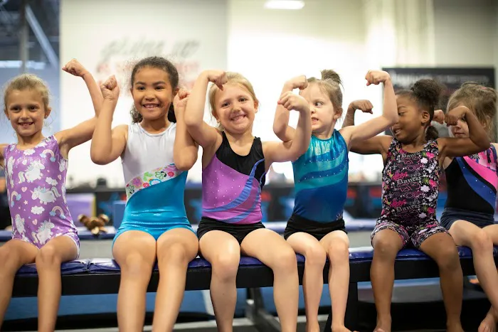 Gold Medal Gymnastics Picture 2