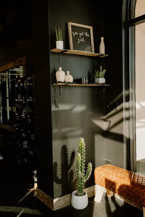 Vie Athletics Picture 9