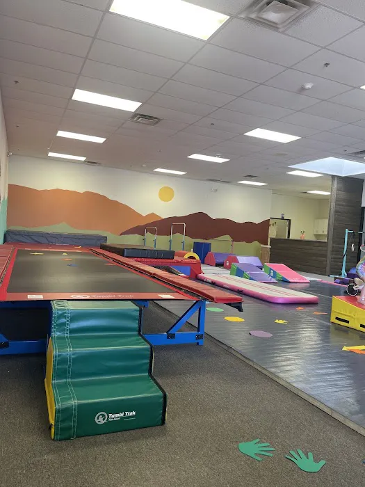 Little Champs Play + Tumbling Picture 2