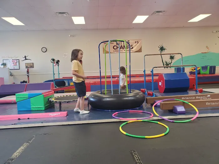 Little Champs Play + Tumbling Picture 10