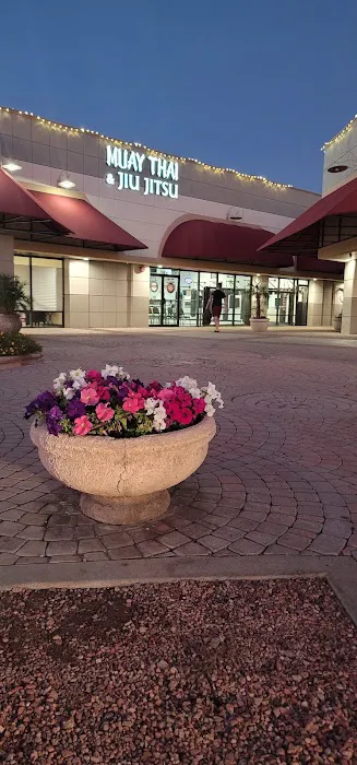 Cyclone Muay Thai Picture 3