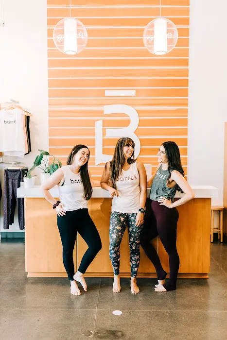 barre3 Picture 5