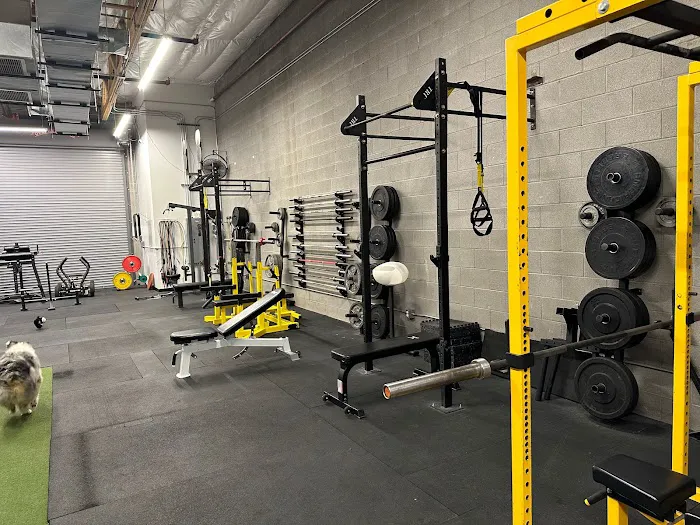 WADE Strength Systems Picture 3