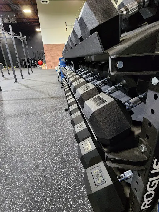 Ikei Sports Performance Picture 3