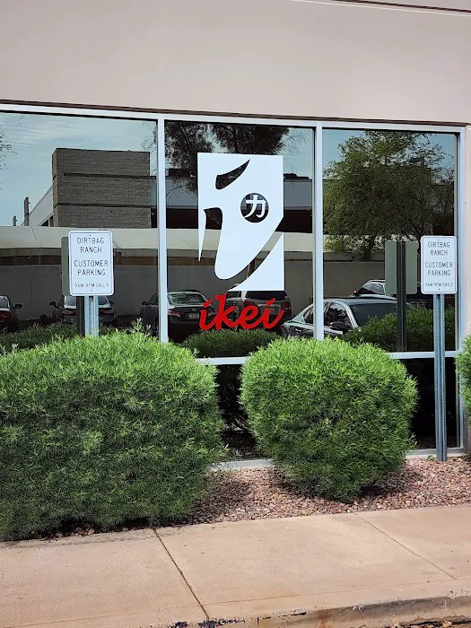 Ikei Sports Performance Picture 4