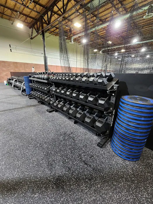 Ikei Sports Performance Picture 5