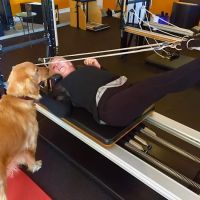 Beyond Fit Pilates ico