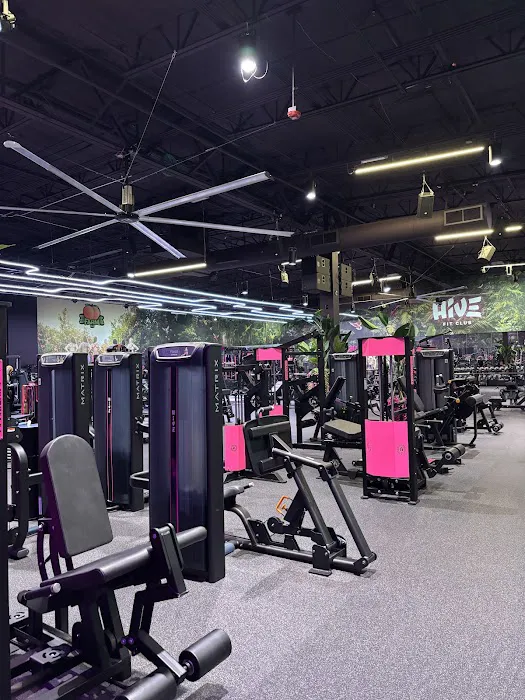 Hive Fit Club Picture 2