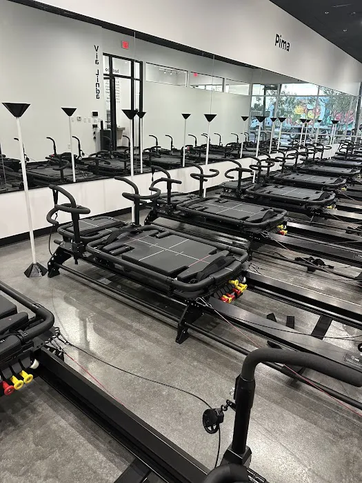 Body Politik Picture 1