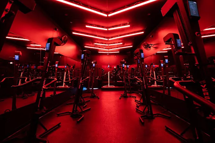 Body Politik Picture 4