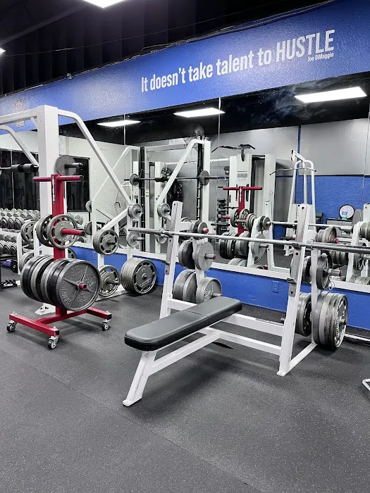 The Lift -N- Box Picture 3